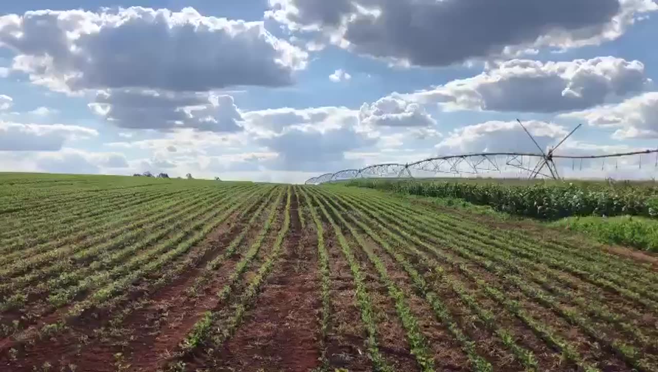 Pivô central irrigando a lavoura da fazenda